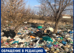 "Рядом со свалкой живут дети сироты", - волжанка