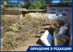 «Вспыхнет, и полгорода сгорит», — волжанка о горе валежника во дворе. Видео