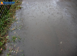 Дождливую среду прогнозируют в Волжском