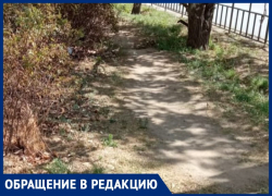 Волжанка пожаловалась на отсутствие тротуара и неудобный пешеходный переход