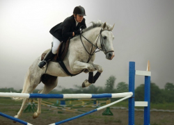 В Волжском пройдут соревнования по конкуру