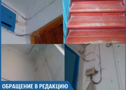 В стенах квартир живут мыши и огромные тараканы, - волжанка