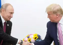 Путин и Трамп договорились о перемирии на Украине и хоккейных матчах