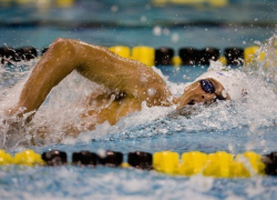 Юные волгоградские пловцы готовятся к ответственным соревнованиям