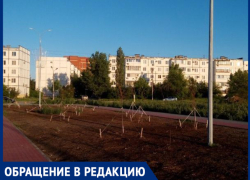 "Это так наша администрация работает на благо города и его жителей?" - волжанин