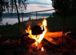 В Тракторозаводском районе бездомный сгорел заживо в костре