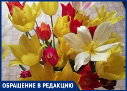 «Пора по фотографиям в соцсетях отслеживать и штрафовать»,- волжанка о первоцветах
