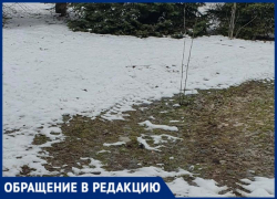 Снег убрали - деревья сломали: жители Волжского бьют тревогу