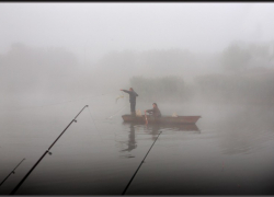 В Волгоградской области продолжают орудовать браконьеры