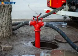 Цена одной спички: родители заплатят полмиллиарда за лесной пожар в Волгоградской области, устроенный сыном
