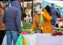 В Волжском самозанятые могут формировать свою пенсию самостоятельно
