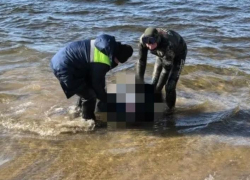 В Волжском спасатели нашли тело практически ослепшего мужчины, не вернувшегося с прогулки неделю назад