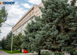 Волжане готовы сами мыть свои подъезды из-за жесткой нехватки кадров в УК и ЖЭУ