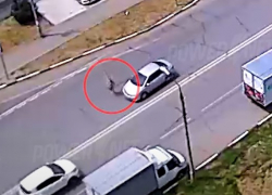 62-летнюю женщину сбила Toyota Corolla рядом с «зеброй» в Волжском: видео 