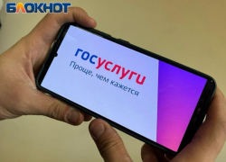 В Волжском задержали 19-летнего киберпреступника, который через госулуги оформлял микрозаймы на других людей