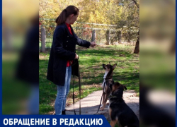 «Я не хочу, чтобы мои собаки на шаурму пошли», - волжанка