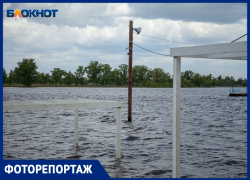 Пляжи потонули, паром отменил рейсы: разлив Ахтубы в Волжском в объективе фотографа 