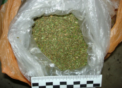 Жителю Михайловского района за хранение марихуаны грозит до 10 лет колонии