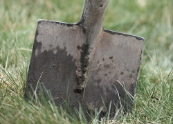 Камышанка убила брата и закопала его тело в саду