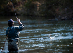Житель Средней Ахтубы может отправиться за решетку за незаконную рыбалку