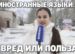 Сокращение часов на иностранный: будущее языкового образования волжан под угрозой