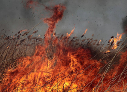 В Волжском на Масленицу неизвестные подожгли камыш