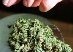 26-летний житель Николаевского района спрятал в машине друга партию марихуаны 