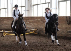 В Волжском прошли соревнования по конкуру