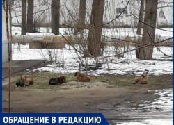 «Мы боимся за свою жизнь», - волжанка