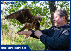 Орланы, журавли, аисты, фламинго: фоторепортаж из удивительного центра под Волжским