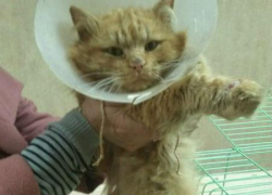 От безразличия волжан на глаза наворачиваются слезы