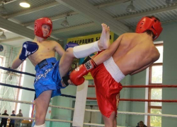 Волжане  на открытом Кубке региона по кикбоксингу завоевали 13 медалей