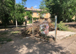 После массы жалоб на сухие ветки во дворах города, в Волжском убирают сухостой с мусорных площадок