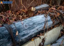 Несчастный случай на охоте в Волгоградской области: один мужчина погиб от случайного выстрела