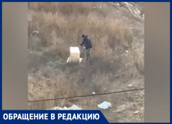 В Волжском животных выбрасывают на верную смерть: видео