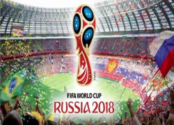 Волжанам предложили стать контролерами на матчах чемпионата мира по футболу 2018 года