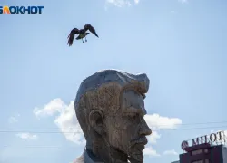 Удача заглянула к вам – ловите ее за хвост: астрологический прогноз для волжан