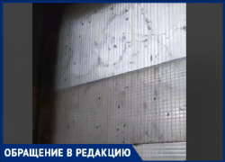 Комары в октябре? Из-за сырого подвала волжан атаковали насекомые