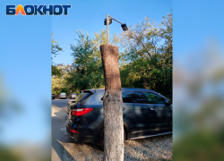В Волжском из ствола дерева сделали фонарный столб