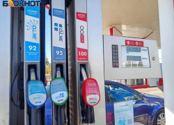 Волгоградское УФАС добилось снижения цен на бензин: топливо подешевело после вмешательства антимонопольщиков