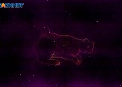 Не распыляться на лишнее советуют звезды: гороскоп на 8 апреля