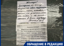 «Почта отказывается доставлять посылки, квитанции в наш подъезд», - волжанка
