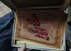 В Кумылженском районе задержали мужчину за незаконное хранение детонаторов