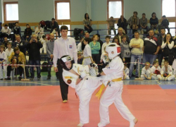 Волжане показали отличный результат на соревнованиях по каратэ киокусинкай