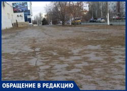  «Елок - нет, иголки остались»: волжанка жалуется на мусор после елочных ярмарок