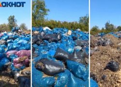 Как листва после субботников в Волжском оказалась на нелегальной свалке и куда в итоге дели сотни пакетов с листьями