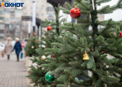 +4 градуса и дождь: погода в Волжском