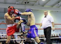 Волжские кикбоксёры завоевали 18 медалей на Чемпионате ЮФО