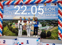 Волжане взяли медали на «Кубке Рязанского кремля» по тхэквондо 