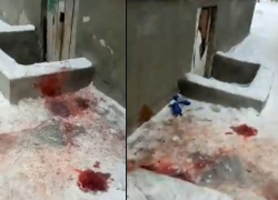 Кровавое убийство произошло в Волжском в новогоднюю ночь